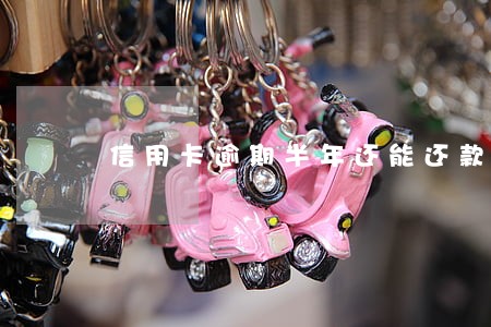 信用卡逾期半年还能还款吗 信用卡逾期半年还能还款吗