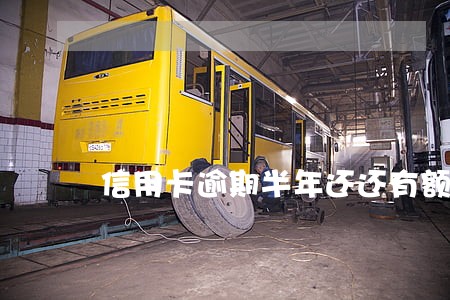 信用卡逾期半年还还有额度吗 信用卡逾期半年还还有额度吗