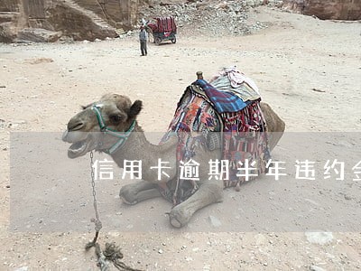 信用卡逾期半年违约金大概多少