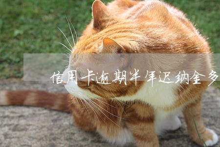 信用卡逾期半年迟纳金多少 信用卡逾期半年迟纳金多少