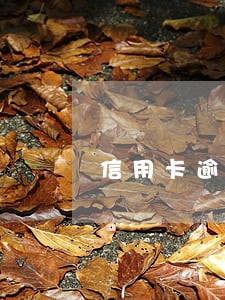 信用卡逾期半年银行要求全款 信用卡逾期半年银行要求全款