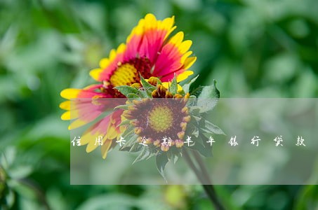 信用卡逾期半年银行贷款