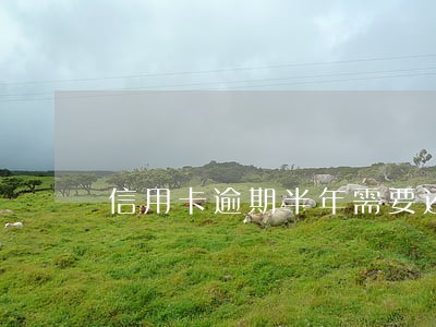 信用卡逾期半年需要还全款吗 信用卡逾期半年需要还全款吗