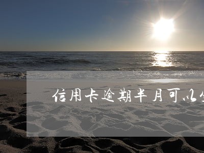 信用卡逾期半月可以坐飞机吗 信用卡逾期半月可以坐飞机吗