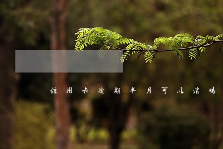 信用卡逾期半月可以消吗