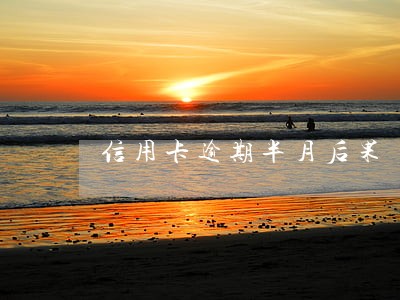 信用卡逾期半月后果