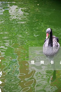 信用卡逾期半月多久能恢复 信用卡逾期半月多久能恢复