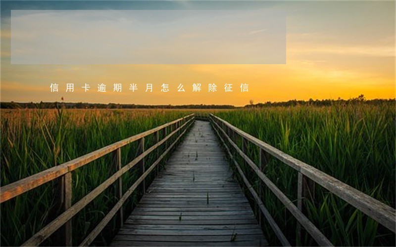 信用卡逾期半月怎么解除征信