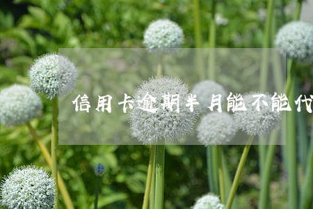 信用卡逾期半月能不能代还 信用卡逾期半月能不能代还