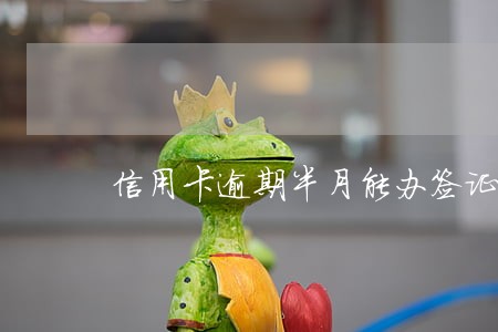 信用卡逾期半月能办签证嘛