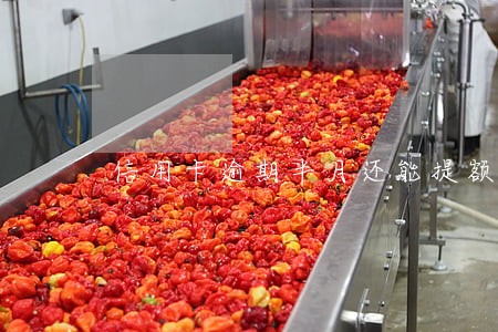 信用卡逾期半月还能提额度吗 信用卡逾期半月还能提额度吗