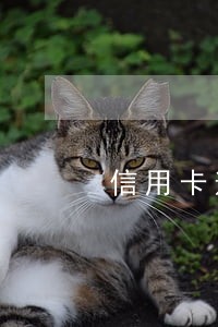 信用卡逾期半还 信用卡逾期半还