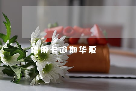 信用卡逾期华夏 信用卡逾期华夏
