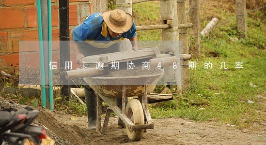 信用卡逾期协商48期的几率 信用卡逾期协商48期的几率