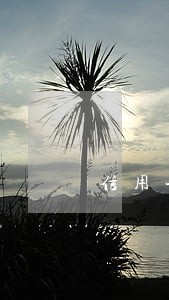 信用卡逾期协商不了说要起诉招商 信用卡逾期协商不了说要起诉招商
