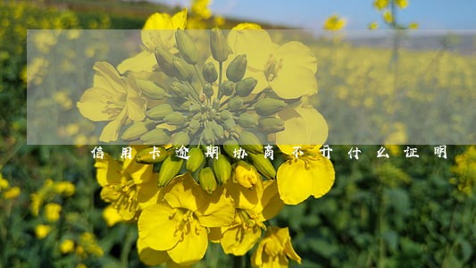 信用卡逾期协商不开什么证明 信用卡逾期协商不开什么证明