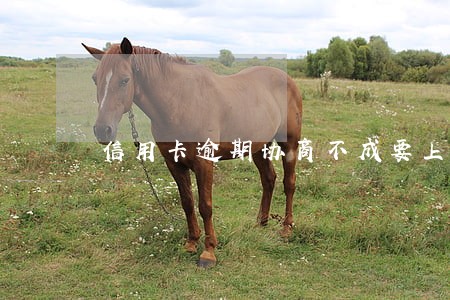 信用卡逾期协商不成要上门 信用卡逾期协商不成要上门