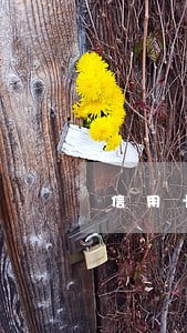 信用卡逾期协商不给分期怎么办 信用卡逾期协商不给分期怎么办