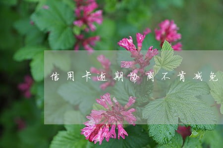 信用卡逾期协商不肯减免利息 信用卡逾期协商不肯减免利息