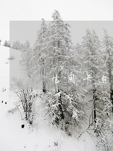 信用卡逾期协商不能分期 信用卡逾期协商不能分期