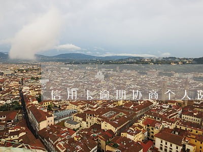 信用卡逾期协商个人说明