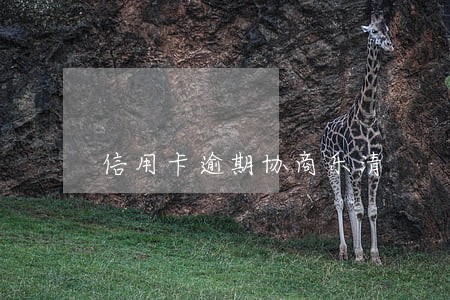 信用卡逾期协商乐清 信用卡逾期协商乐清