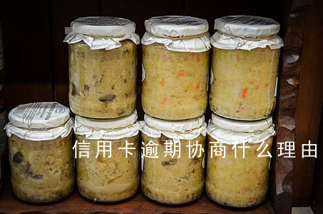信用卡逾期协商什么理由 信用卡逾期协商什么理由