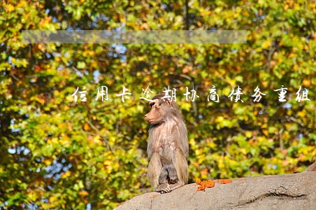 信用卡逾期协商债务重组