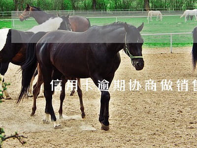 信用卡逾期协商做销售