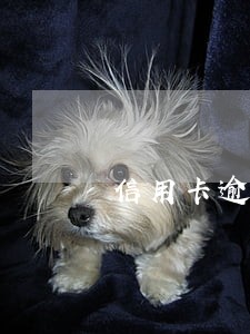 信用卡逾期协商停息挂账的影响 信用卡逾期协商停息挂账的影响