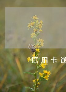 信用卡逾期协商停账挂息影响大吗 信用卡逾期协商停账挂息影响大吗
