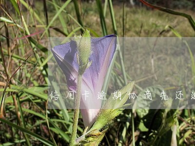 信用卡逾期协商先还逾期部分 信用卡逾期协商先还逾期部分