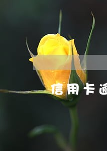 信用卡逾期协商公司靠谱吗