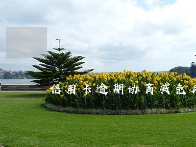 信用卡逾期协商减免反悔 信用卡逾期协商减免反悔