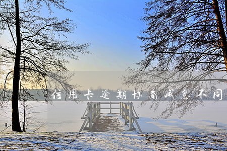 信用卡逾期协商减息不同意 信用卡逾期协商减息不同意