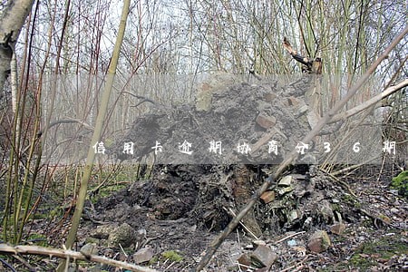 信用卡逾期协商分36期 信用卡逾期协商分36期