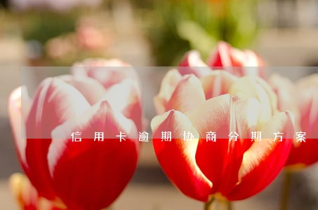 信用卡逾期协商分期方案 信用卡逾期协商分期方案