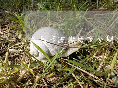 信用卡逾期协商分期有分期手续费 信用卡逾期协商分期有分期手续费