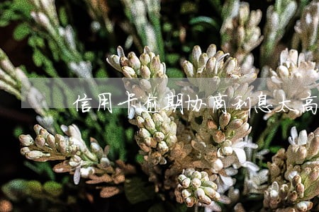 信用卡逾期协商利息太高 信用卡逾期协商利息太高
