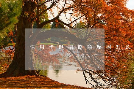 信用卡逾期协商原因怎么说 信用卡逾期协商原因怎么说