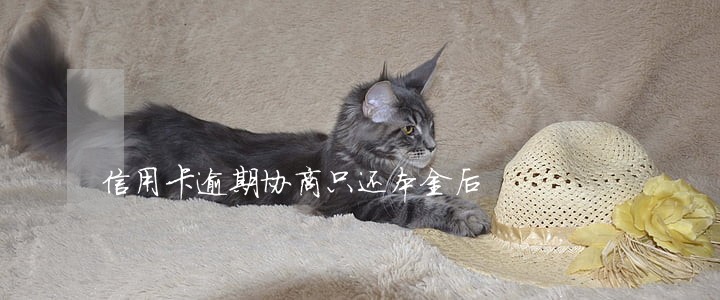 信用卡逾期协商只还本金后 信用卡逾期协商只还本金后