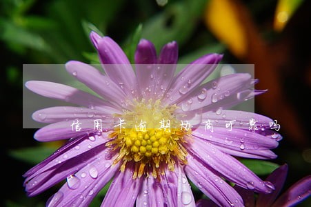 信用卡逾期协商可靠吗