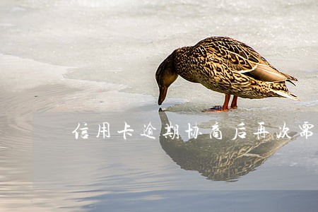 信用卡逾期协商后再次需要延期 信用卡逾期协商后再次需要延期