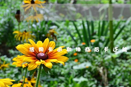 信用卡逾期协商后卡还能用不 信用卡逾期协商后卡还能用不
