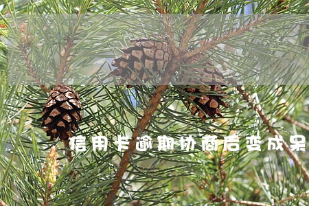 信用卡逾期协商后变成呆账 信用卡逾期协商后变成呆账