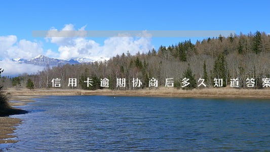 信用卡逾期协商后多久知道答案 信用卡逾期协商后多久知道答案