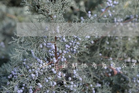 信用卡逾期协商后怎么还款吗 信用卡逾期协商后怎么还款吗