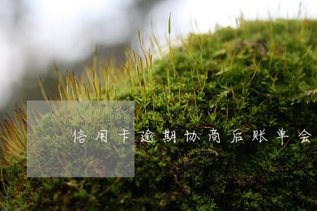 信用卡逾期协商后账单会变化吗