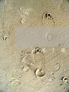 信用卡逾期协商回归