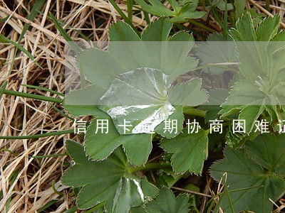 信用卡逾期协商困难证明范本
